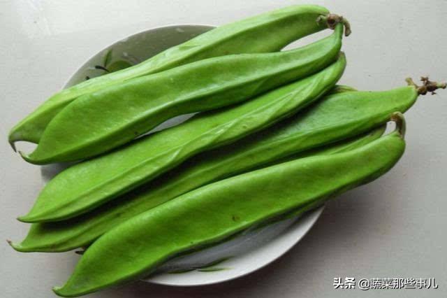 菜豆、豇豆、扁豆、四季豆……强大的豆角家族，它们到底谁是谁？