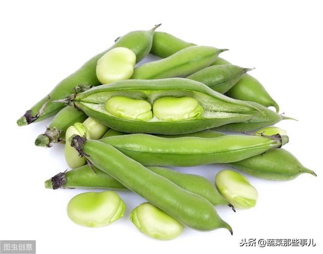 菜豆、豇豆、扁豆、四季豆……强大的豆角家族，它们到底谁是谁？