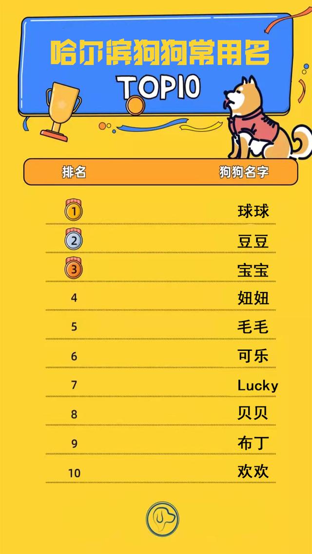 法拉利还是lucky？哈尔滨狗狗常用名Top10出炉