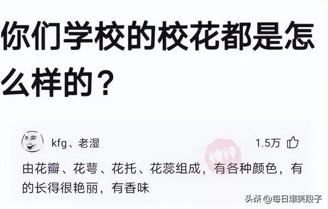 「爆笑段子」生个男孩子取什么名字好呢？