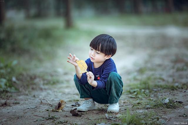 杨姓男孩取名，大姓如何起名更有内涵？