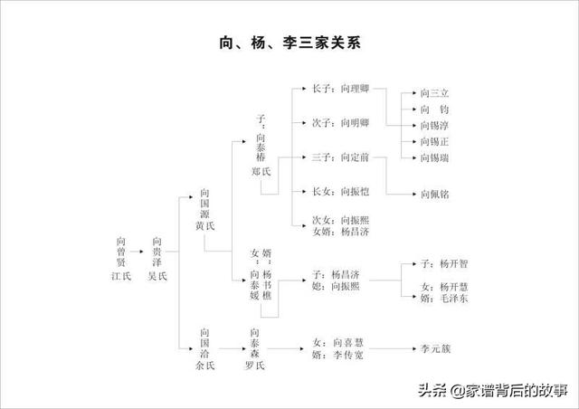 杨开慧外祖家的传奇——平江第一科举世家向曾贤家族