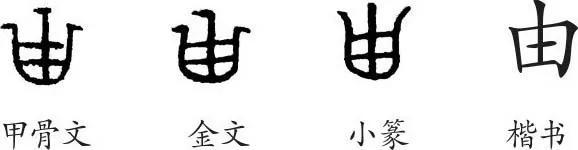 “由”字释义