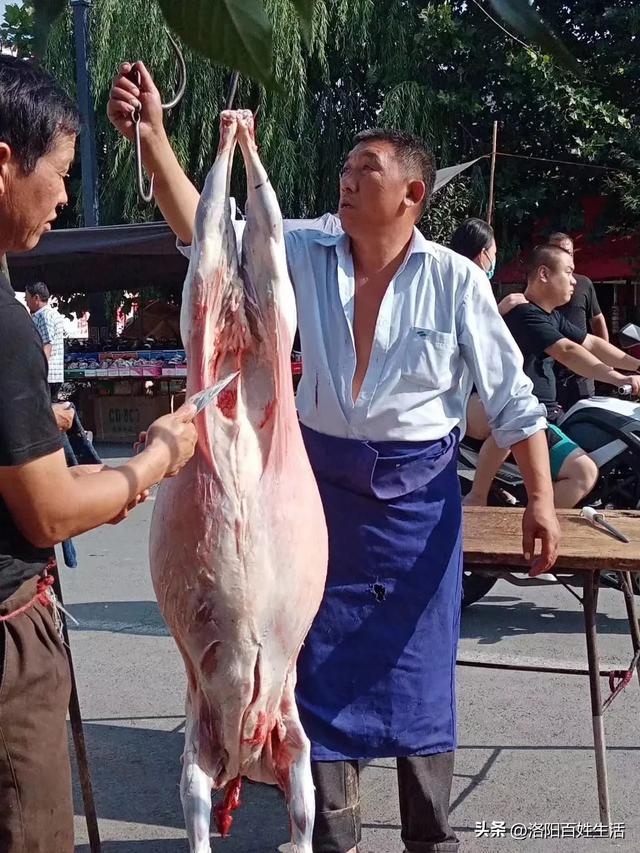 汤城洛阳：孟津四大名汤之横水聚义轩羊肉汤