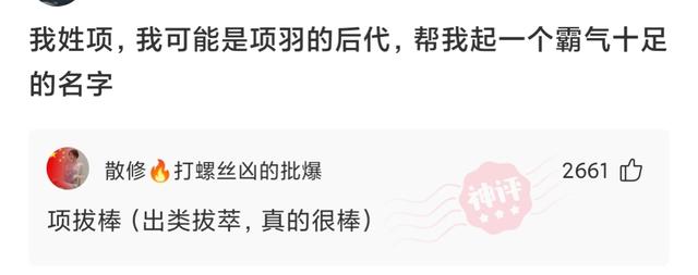 朋友姓项求网友取个霸气的名字，取完后寓意很好就是感觉有点下饭