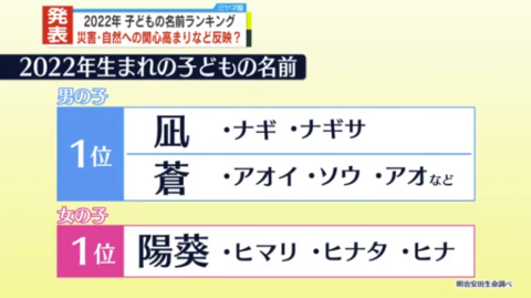 日本2022年新生儿“爆款”姓名出炉“苍”和“阳葵”霸榜