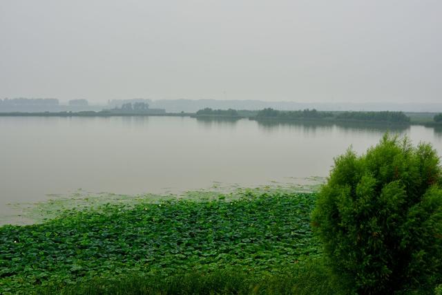 汤姓龙兴之地，九大古泽之首——孟渚泽探访记