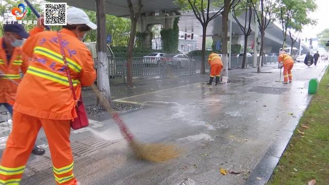 栾树“滴油”，原是它惹的祸