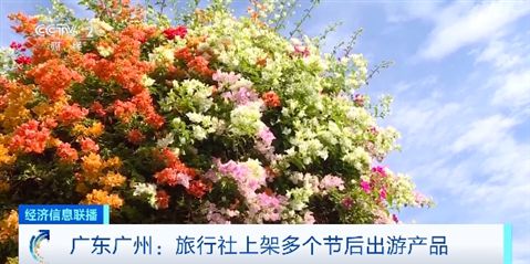 节后出游正当时！冲浪、赏花、邮轮游……错峰旅行更划算