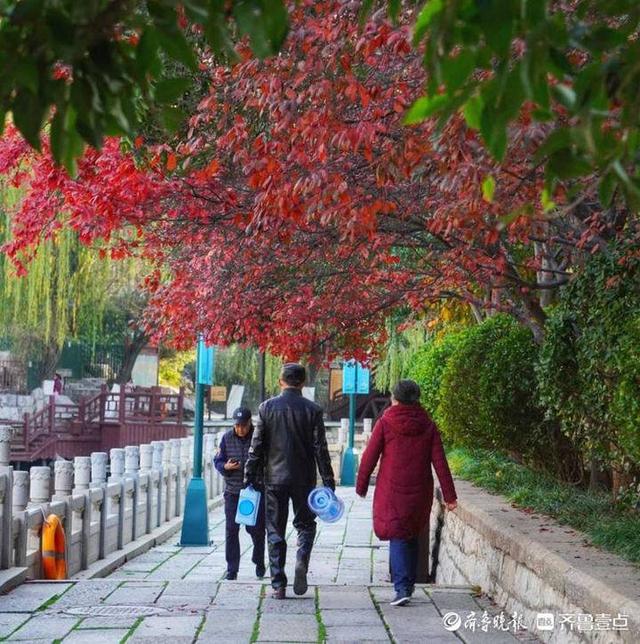 一秒入画！初冬的济南护城河美景成诗，五彩缤纷你爱了吗