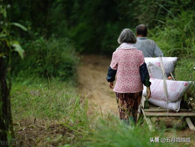 人老了不想被儿女嫌弃，请牢记三条，晚年才更加幸福！