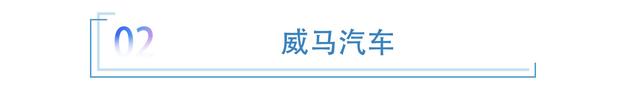 2022失意车企对对碰：陆风消失已久、威马高开低走