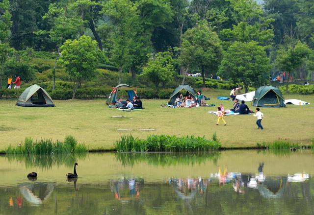 镇江上海：繁花绽放，宝总、汪小姐坐高铁共赴春天之约