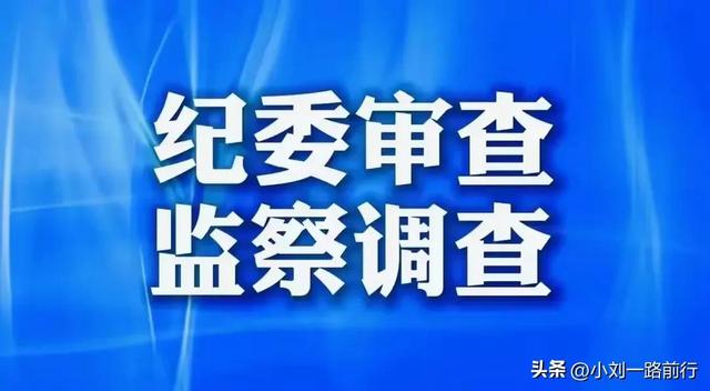 严查大战已开始！山东41岁美女董事长鞠雅被查，资产过亿