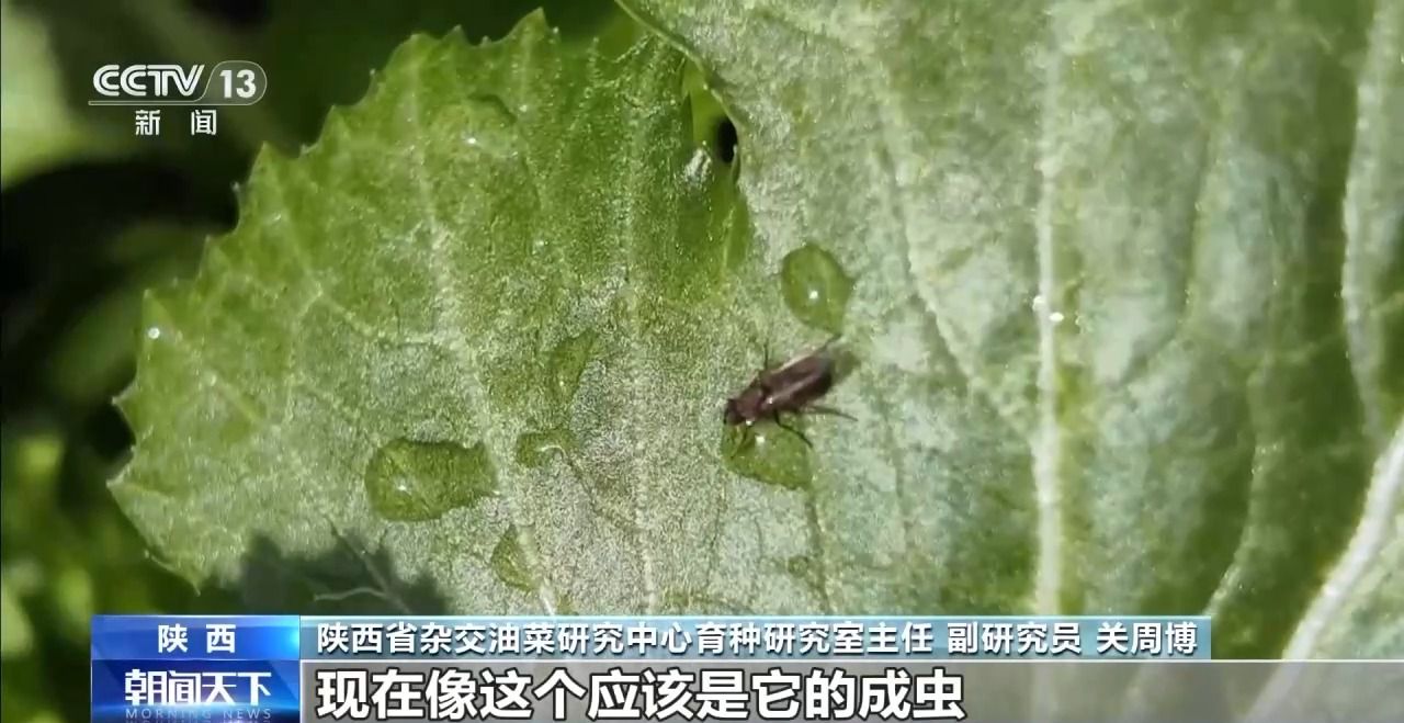 人勤春来早 开工干劲足丨花田火锅、花田咖啡 花海背后藏着消费新场景