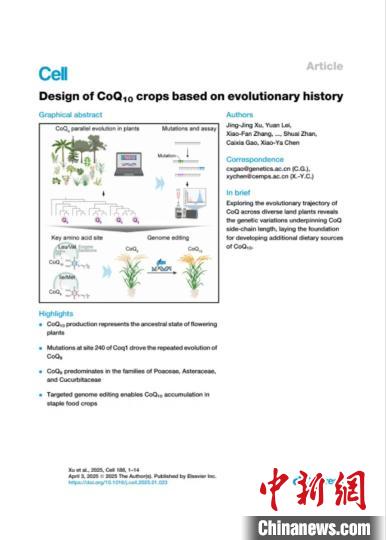 辅酶Q10有了新的食物来源 中国专家成功培育辅酶Q10水稻新品种