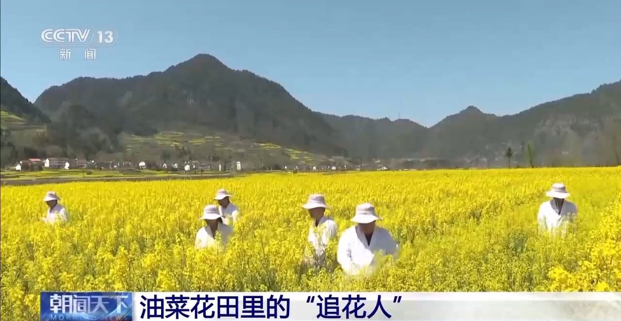 人勤春来早 开工干劲足丨花田火锅、花田咖啡 花海背后藏着消费新场景