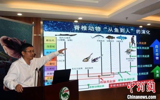 中国古生物学家朱敏当选瑞典皇家科学院外籍院士