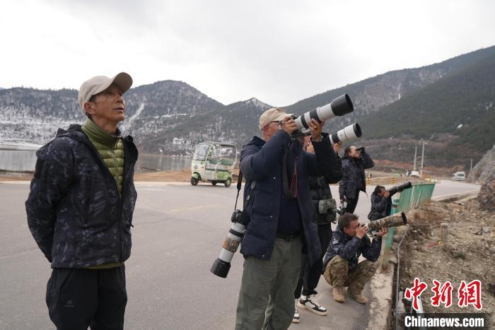 生态+文旅 香格里拉观鸟活动开启冬春旅游新体验